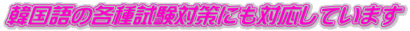 韓国語の各種試験対策にも対応しています